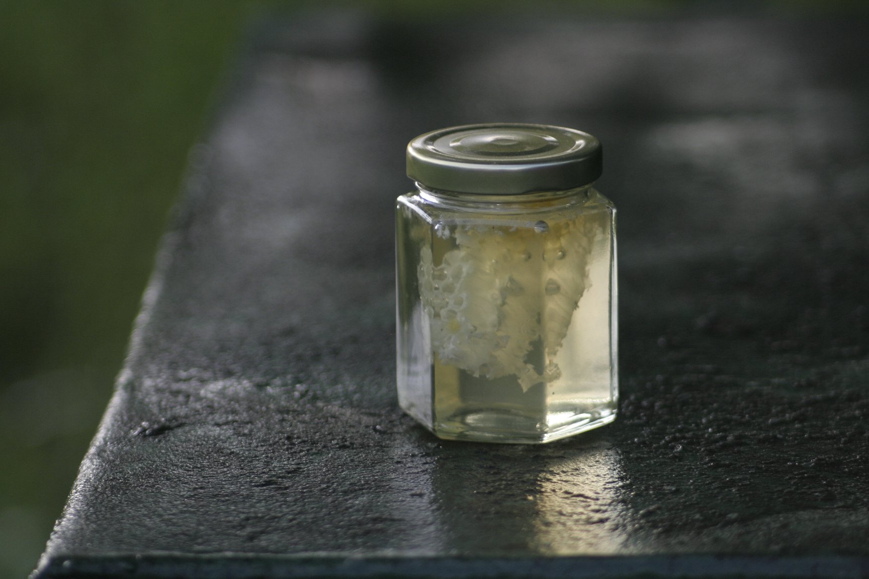 Ön jelenleg a következőket nézi Méhecskék a Kamránkban